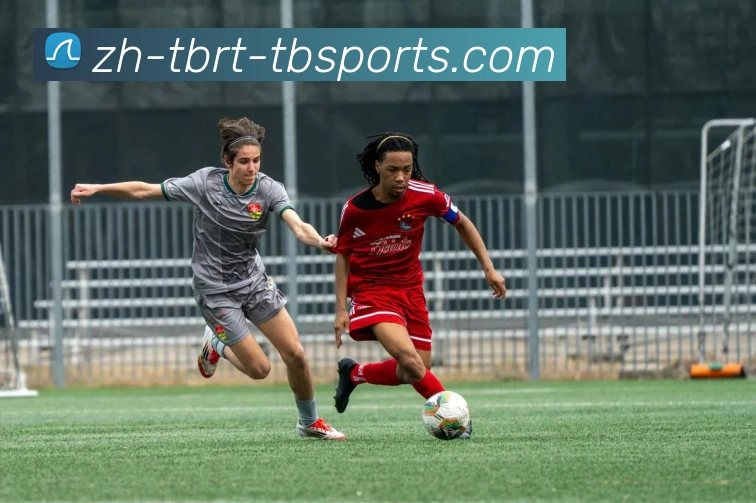 天博体育APP 高清赛事图